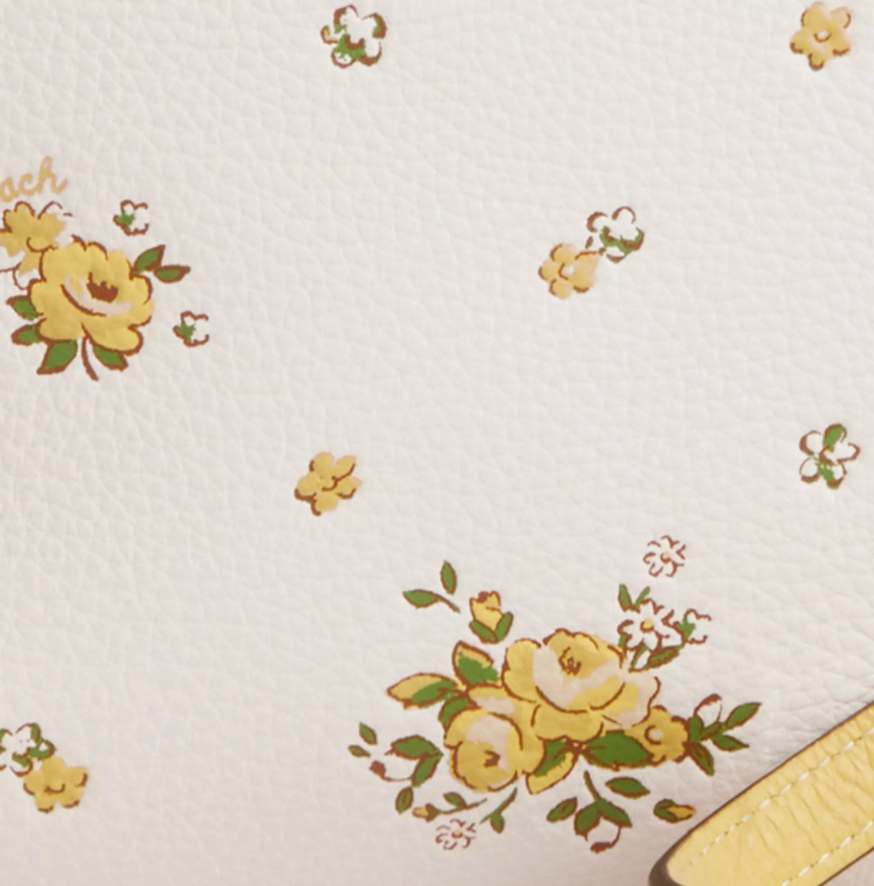 Coach Mini Rowan Leather File Bag With Floral Print