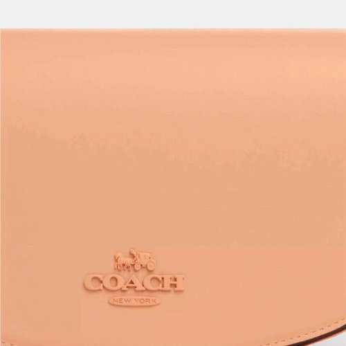 Coach Leather Medium Andrea Shoulder Bag In Faded Blush