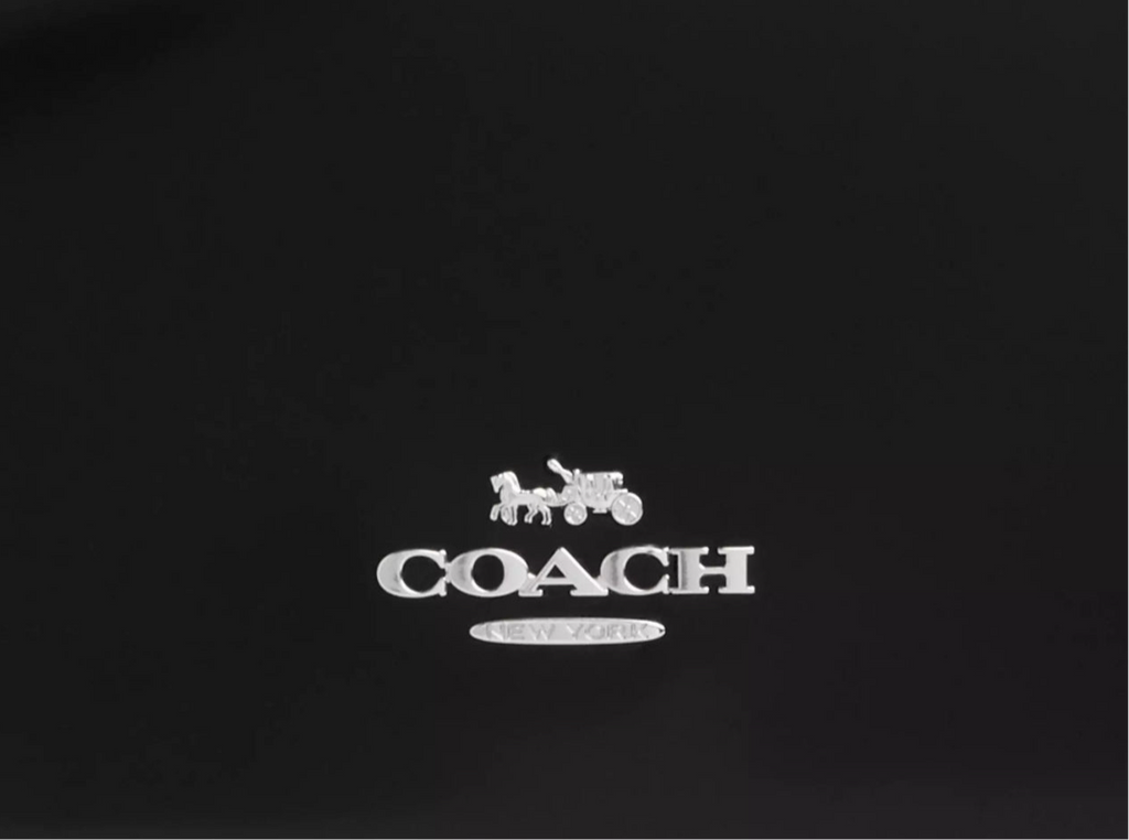Coach Quinn Leather Bag CY657 In Silver/Black